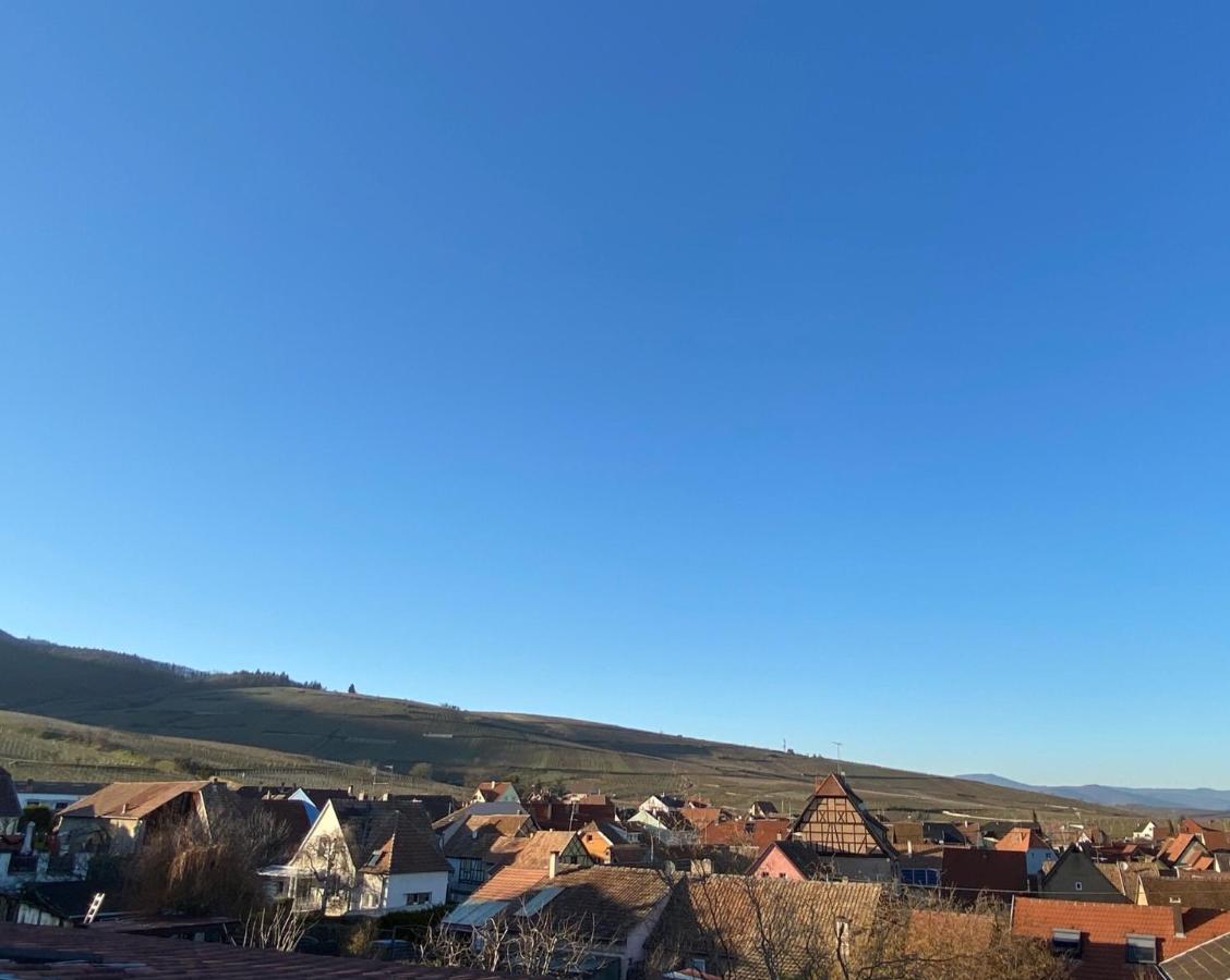 Duplex Le 12 - Appartement Avec Terrasse Dans Le Vignoble - 5 Mn Du Centre De Colmar Wettolsheim ภายนอก รูปภาพ